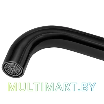 Смеситель ARFEKA AF FSS304 Black Grafit картинка 3